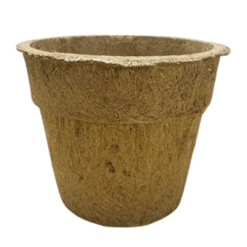 JSV coco pot
