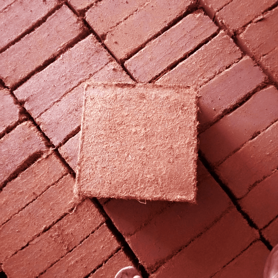 Coco Peat Manufacturing & Supply