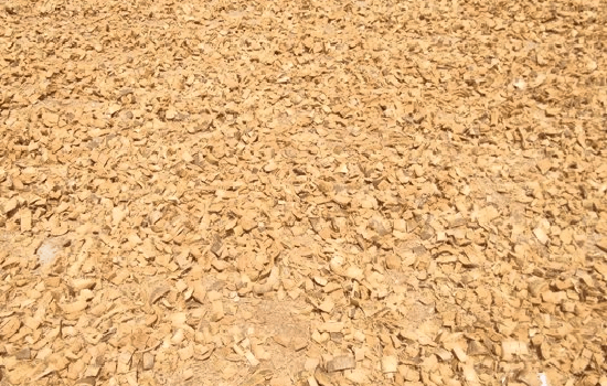 JSV coco products Husk Chips